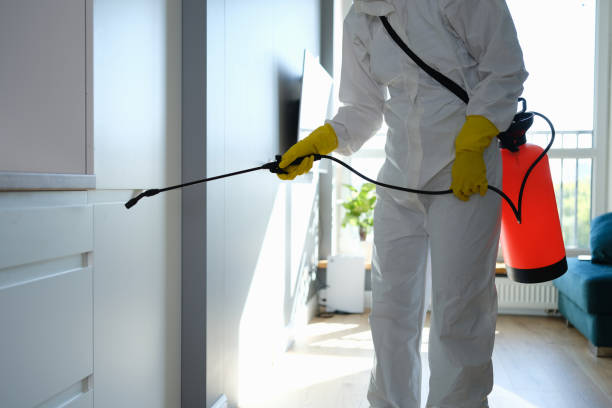  Louisville, MS Mold Removal Pros