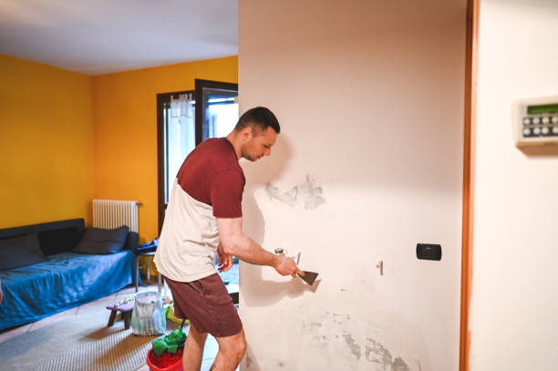 Best Mold Removal Company Near Me  in Louisville, MS