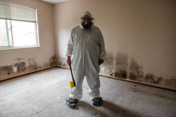 Best Fast Mold Removal  in Louisville, MS